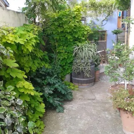 Logement Independant Colmar Extérieur photo
